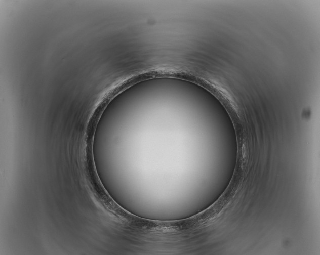 X0000091560492200708171104