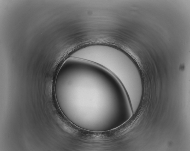 X0000091560493200708171104
