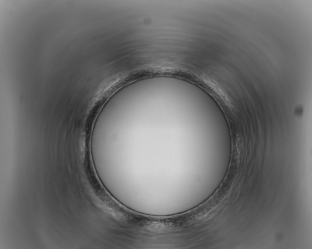 X0000091560494200708171104