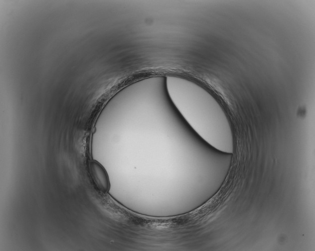 X0000091560495200708171104