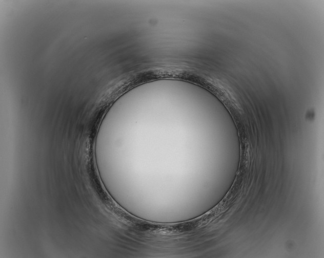 X0000091560498200708171104
