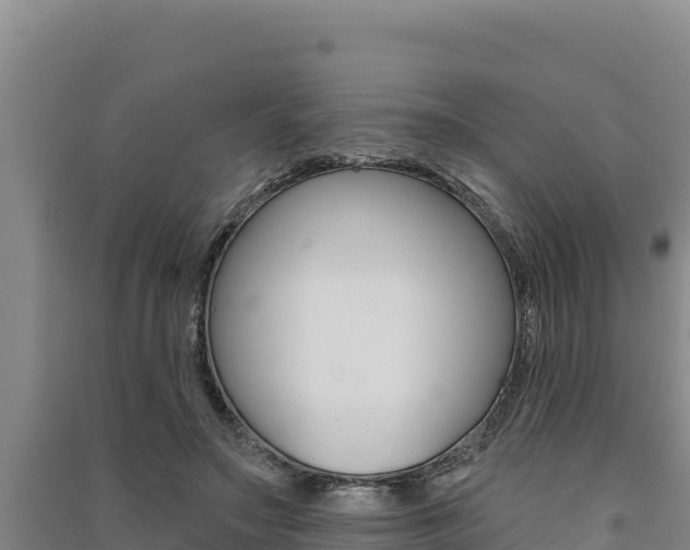 X0000091560499200708171104