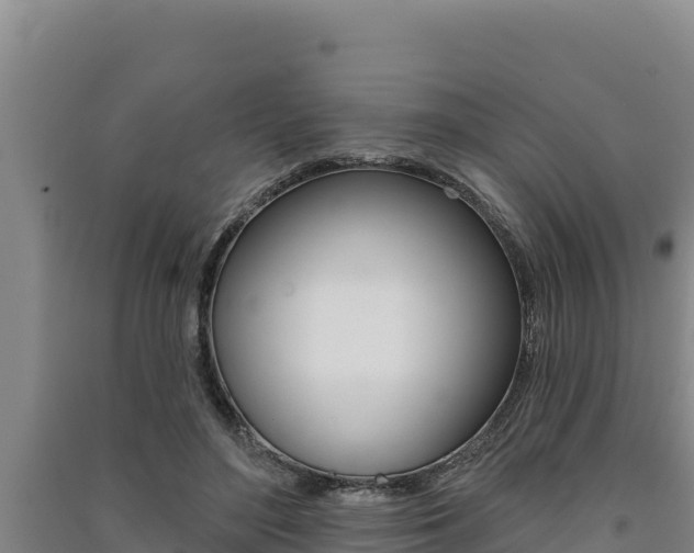 X0000091560500200708171104
