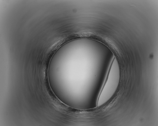 X0000091560501200708171104