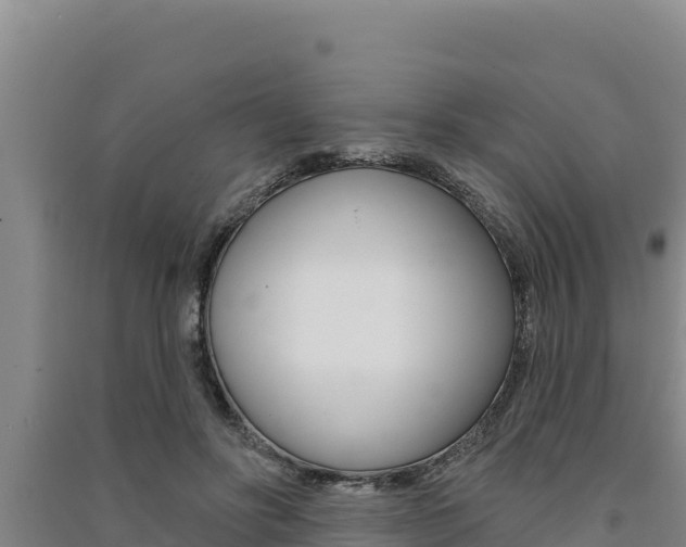 X0000091560502200708171104
