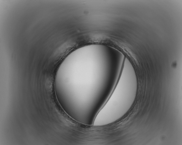X0000091560505200708171104