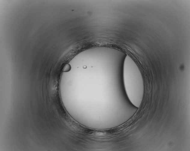 X0000091560507200708171104
