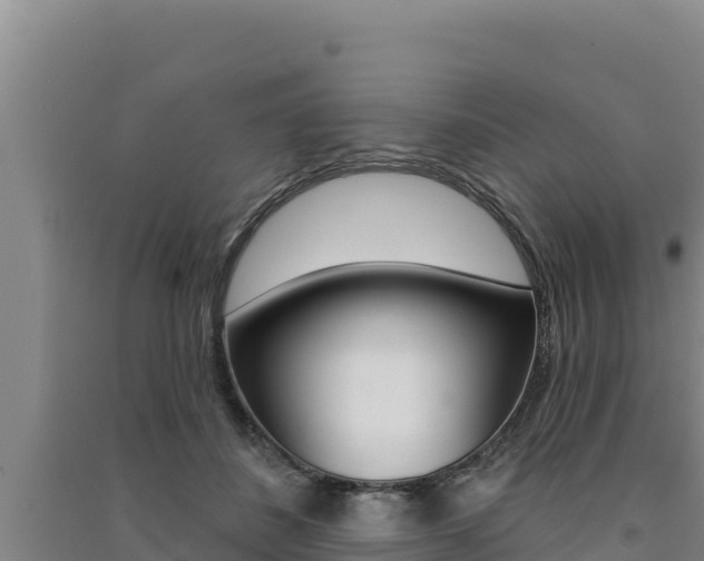 X0000091560508200708171104