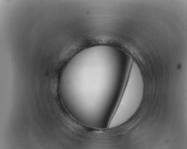 X0000091560509200708171104
