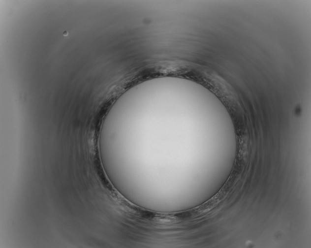 X0000091560510200708171104