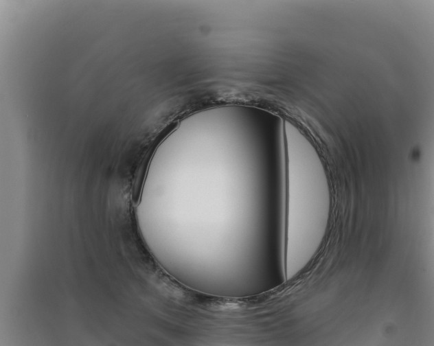 X0000091560513200708171104