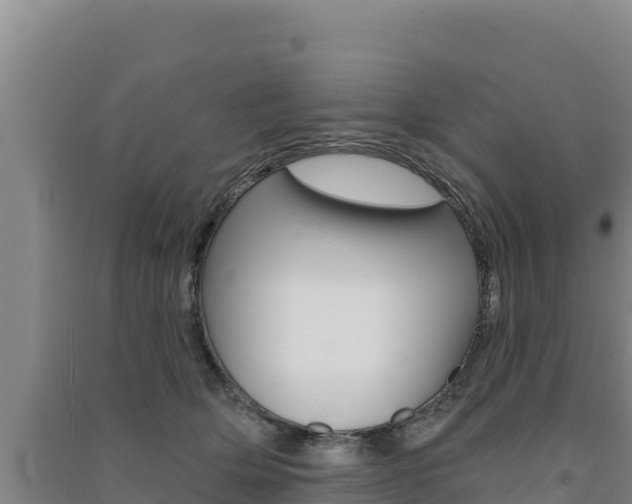 X0000091560514200708171104