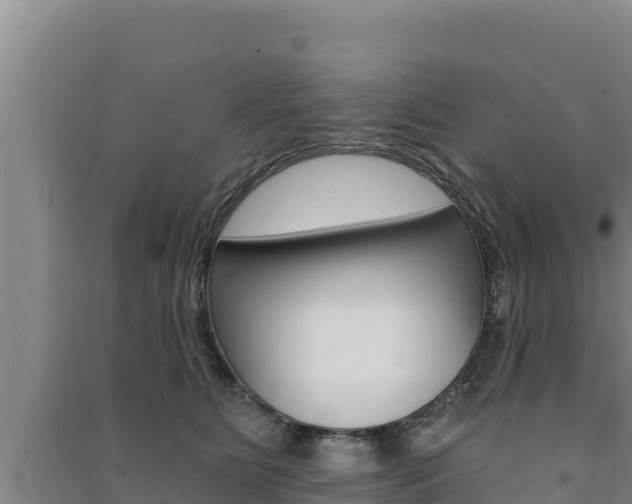 X0000091560515200708171104