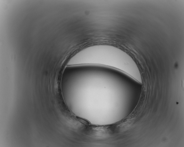 X0000091560516200708171104