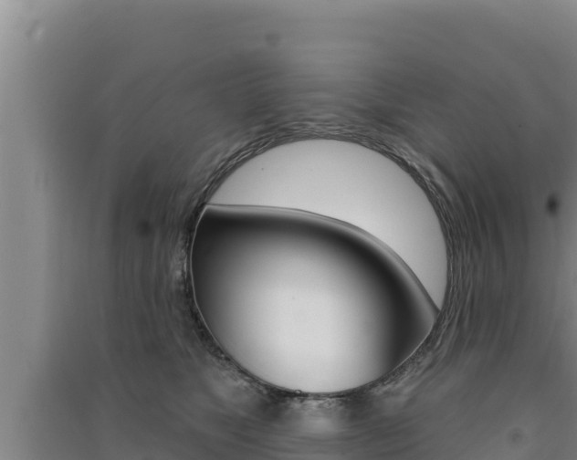 X0000091560517200708171104