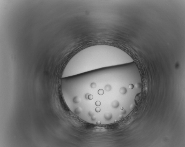 X0000091560519200708171104