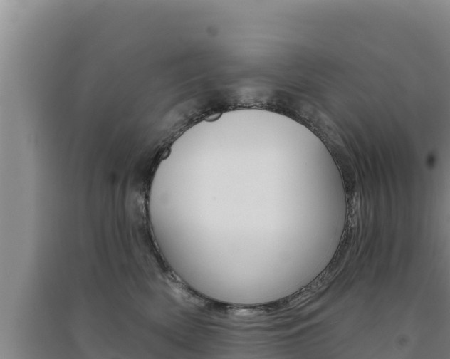 X0000091560522200708171104