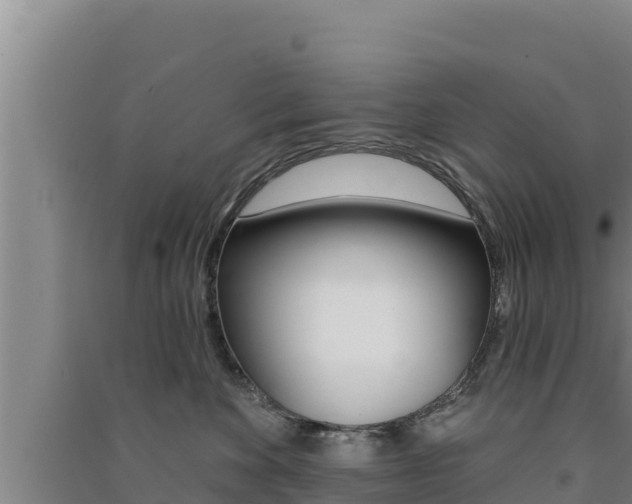 X0000091560524200708171104