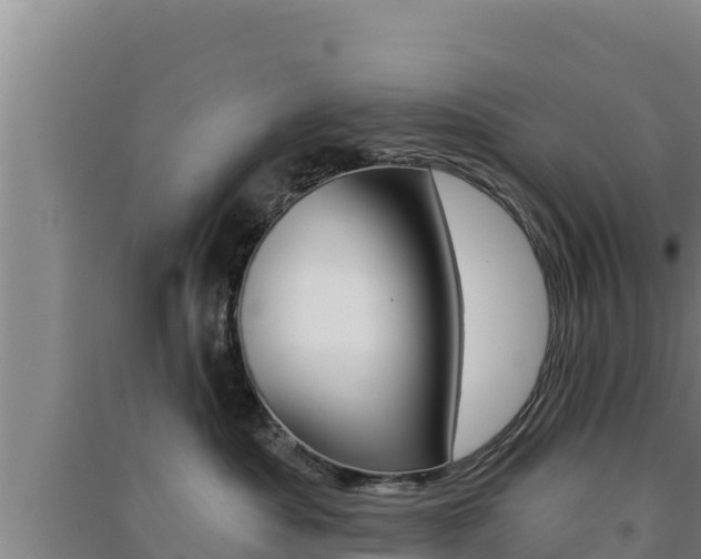X0000091560525200708171104