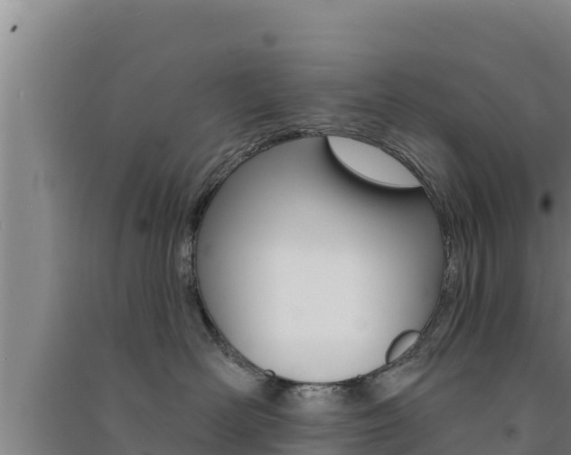 X0000091560526200708171104