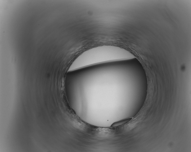 X0000091560528200708171104
