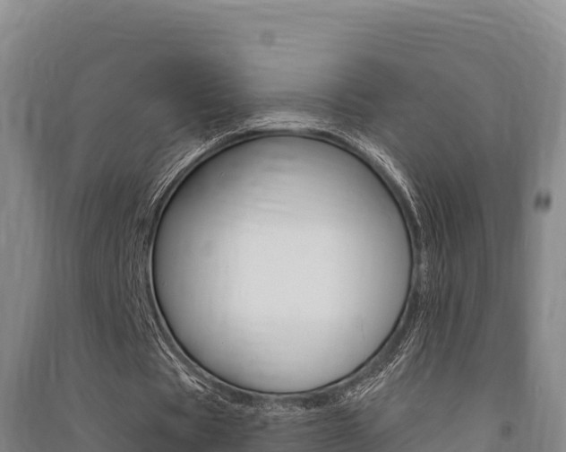 X0000091560529200708171103
