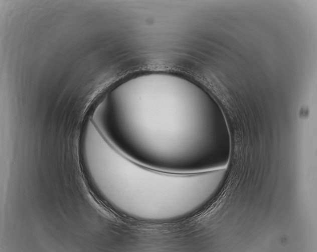 X0000091560530200708171103