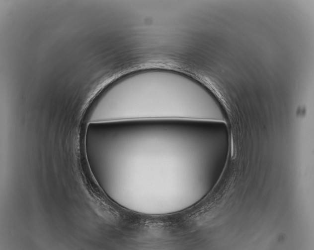 X0000091560531200708171103