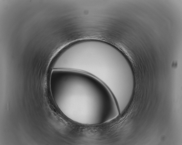 X0000091560532200708171103