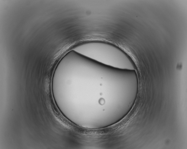 X0000091560533200708171103