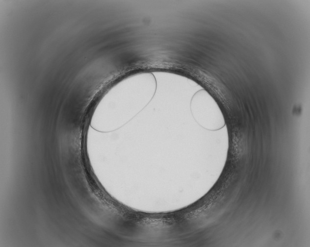 X0000091560534200708171103