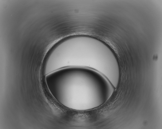 X0000091560536200708171103