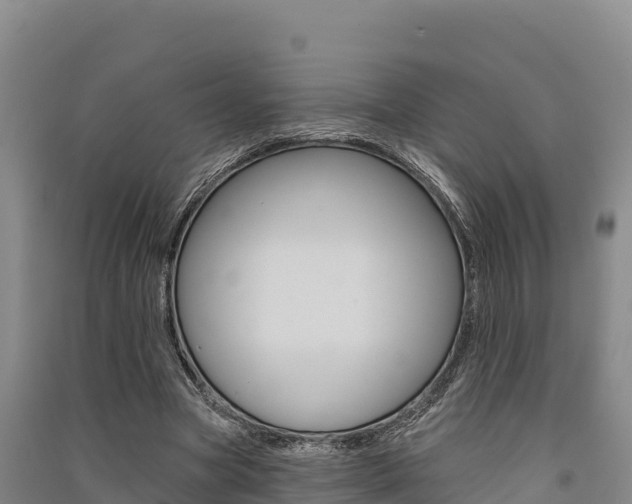 X0000091560537200708171103
