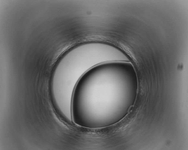 X0000091560538200708171103