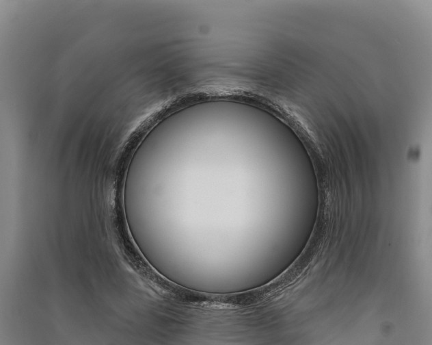 X0000091560539200708171103