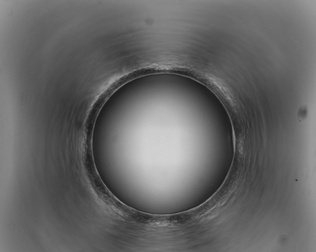 X0000091560540200708171103