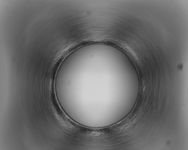 X0000091560542200708171103