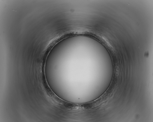X0000091560543200708171103