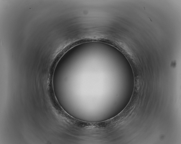 X0000091560544200708171103