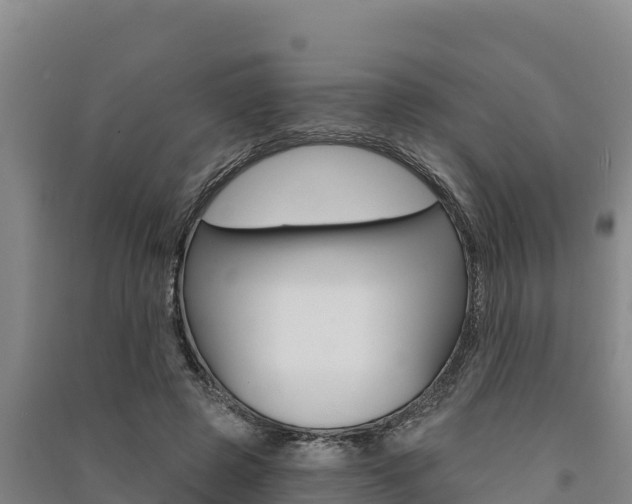 X0000091560545200708171103