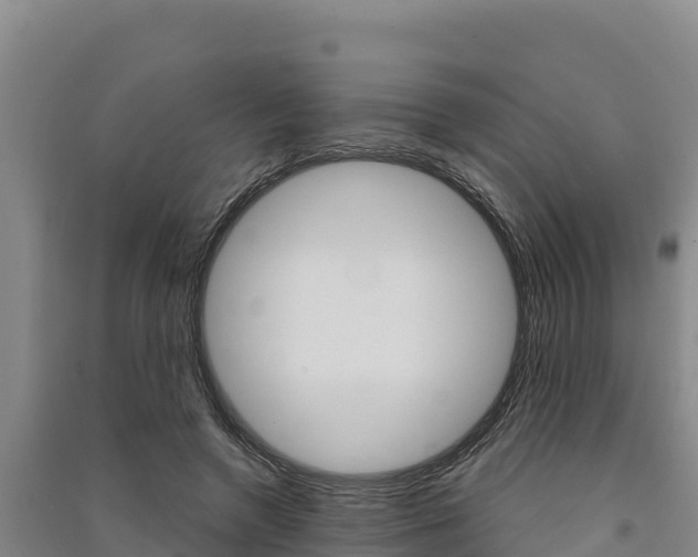 X0000091560546200708171103