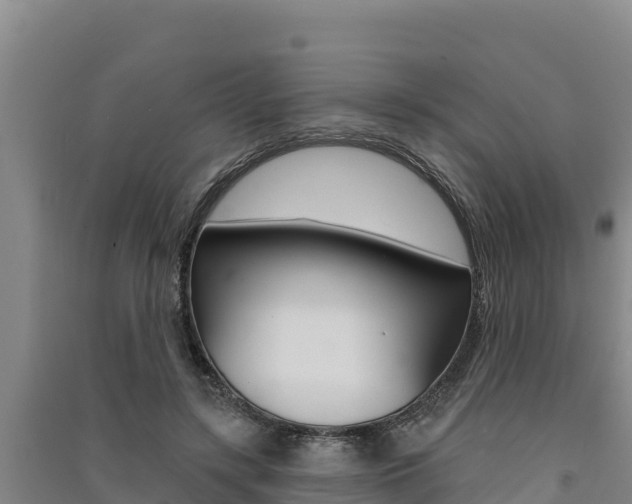 X0000091560547200708171103