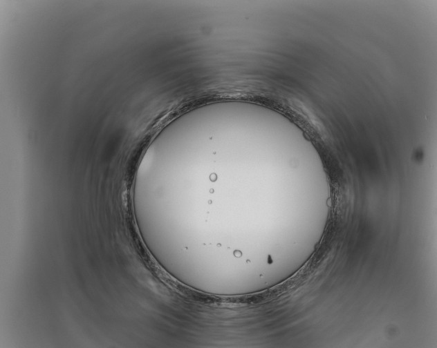 X0000091560549200708171103