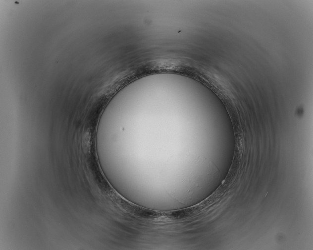 X0000091560551200708171103