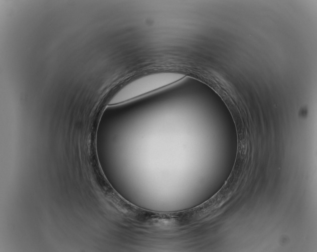 X0000091560552200708171103