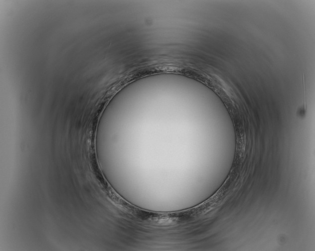 X0000091560553200708171103
