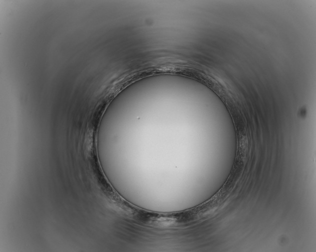 X0000091560554200708171103