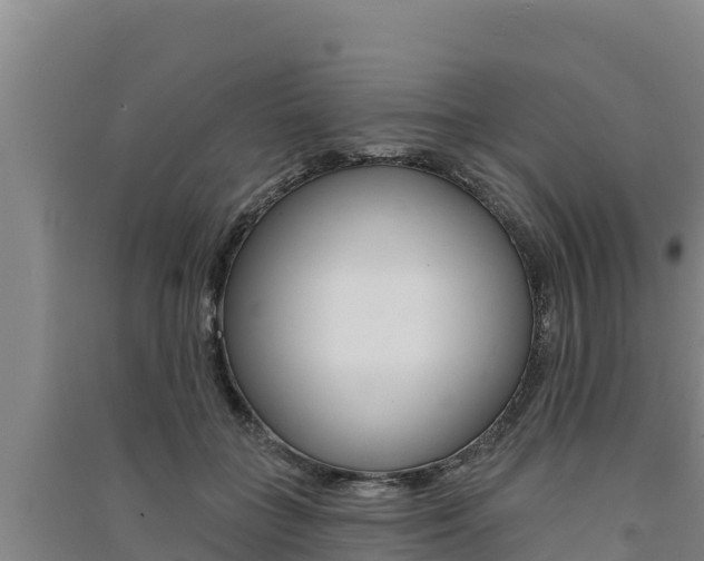 X0000091560555200708171103