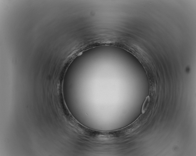 X0000091560556200708171103