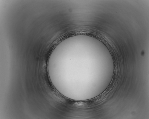 X0000091560557200708171103